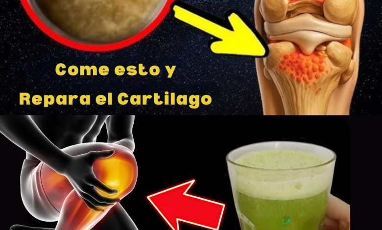 Batido Natural para Regenerar Cartílagos y Ligamentos: La Receta que Revitaliza tus Articulaciones