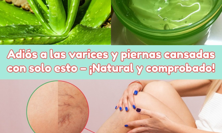 Aloe Vera para Piernas Cansadas y Várices: El Gel Natural que Alivia, Refresca y Mejora la Circulación