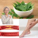 Hojas de Neem: La Hoja Amarga que Puede Apoyar tu Salud de Manera Sorprendente