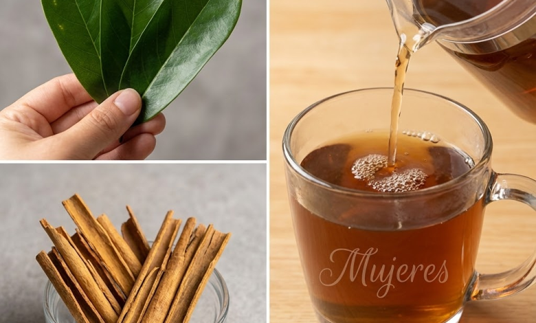 Té de Hojas de Guanábana con Canela: la Mezcla Nocturna que Mima tu Cuerpo