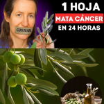 La Filosofía de Barbara O’Neill: Sanar el Cuerpo Transformando su Entorno