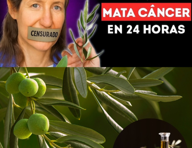 La Filosofía de Barbara O’Neill: Sanar el Cuerpo Transformando su Entorno La Filosofía de Barbara O’Neill: Sanar el Cuerpo Transformando su Entorno