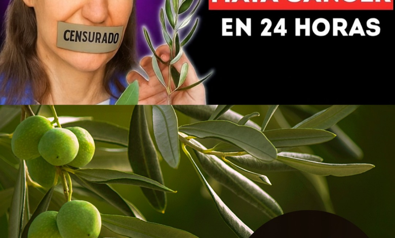 La Filosofía de Barbara O’Neill: Sanar el Cuerpo Transformando su Entorno