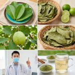 El superpoder secreto de las hojas de guayaba: un cambio radical para el control del azúcar en la sangre