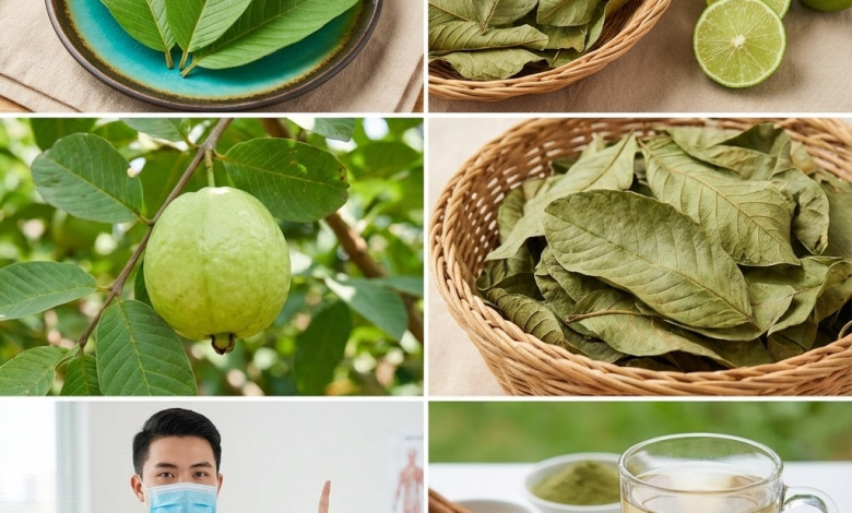 El superpoder secreto de las hojas de guayaba: un cambio radical para el control del azúcar en la sangre