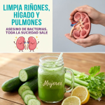 Jugo Detox de Pepino y Apio: Limpia Riñones y Hígado de Forma Natural Jugo Detox de Pepino y Apio: Limpia Riñones y Hígado de Forma Natural