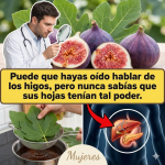 Hojas de Higo: 8 Usos Sorprendentes para Tu Salud (y una Receta Extra en Jugo)
