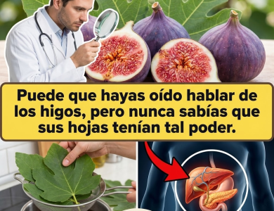 Hojas de Higo: 8 Usos Sorprendentes para Tu Salud (y una Receta Extra en Jugo)