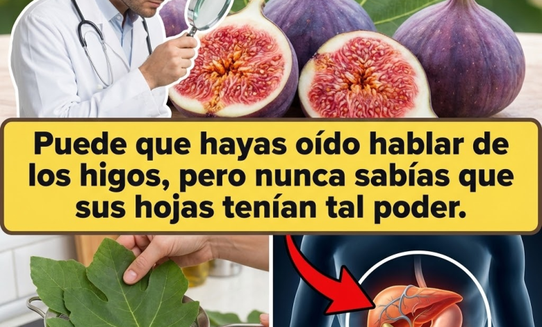 Hojas de Higo: 8 Usos Sorprendentes para Tu Salud (y una Receta Extra en Jugo)