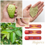 Té para la Circulación: Remedio Natural y Efectivo para Piernas Ligeras y Corazón Fuerte