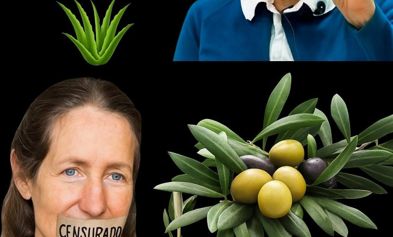 Barbara O’Neill y la Filosofía de la Sanación Integral: Cuidar el Terreno, No Solo la Enfermedad