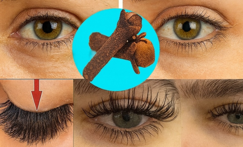 Clavo de Olor: El Secreto Natural para Cejas Densas y Pestañas Largas en Solo 7 Días