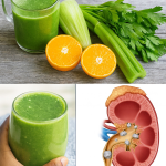7 Remedios Naturales para Fortalecer tus Riñones y Recuperar Energía 7 Remedios Naturales para Fortalecer tus Riñones y Recuperar Energía