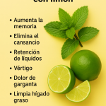 Jugo de Hierbabuena con Limón: El Secreto Refrescante que Revitaliza tu Cuerpo y Tu Mente