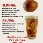 Té de Semilla de Aguacate: El Tesoro Natural que Limpia, Fortalece y Rejuvenece tu Cuerpo
