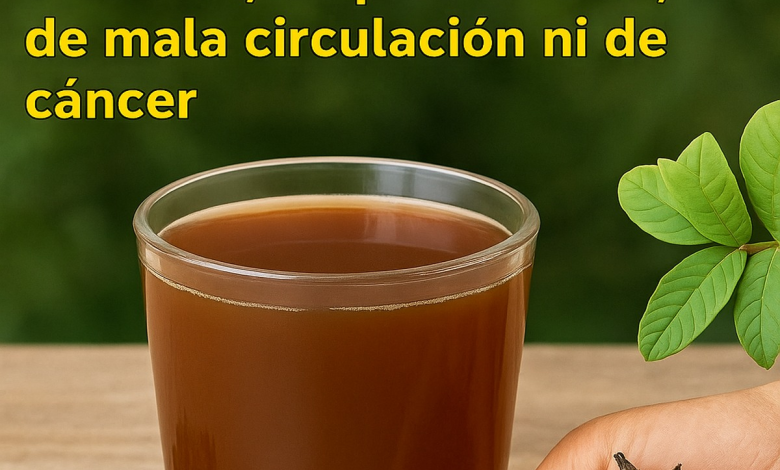 Bebida de Jengibre, Limón y Miel: El Elixir Natural que Revitaliza Cuerpo y Mente