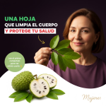 El Potencial Sanador de la Guanábana: ¿Realmente Puede Combatir el Cáncer? El Potencial Sanador de la Guanábana: ¿Realmente Puede Combatir el Cáncer?