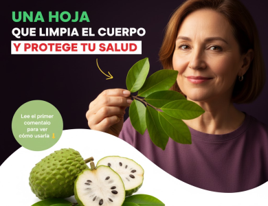 El Potencial Sanador de la Guanábana: ¿Realmente Puede Combatir el Cáncer? El Potencial Sanador de la Guanábana: ¿Realmente Puede Combatir el Cáncer?