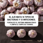 Ajo y Clavo: Dos Tesoros Naturales con Grandes Beneficios para la Salud