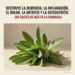Todo lo que Puedes Hacer con una Sola Planta de Salvia: Los Usos de la Abuela Todo lo que Puedes Hacer con una Sola Planta de Salvia: Los Usos de la Abuela