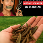 Barbara O’Neill: Sanar Desde Adentro con Sabiduría Natural