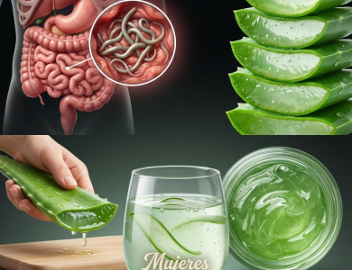 Agua de aloe vera: la bebida depurativa que transforma tu salud desde dentro Agua de aloe vera: la bebida depurativa que transforma tu salud desde dentro