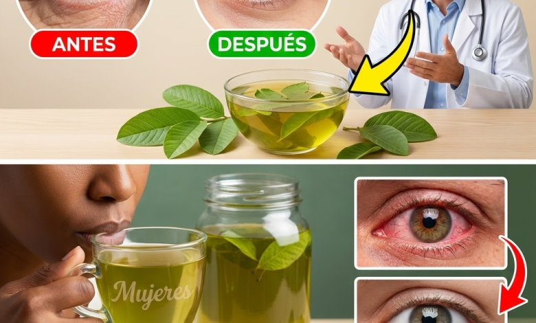 Guayaba para la Salud Ocular: Cómo Cuidar Tus Ojos con Hojas y Frutos de Guayaba