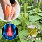 Bledo blanco: la “maleza” silvestre que puede cuidar tu cerebro, tu energía y tu digestión