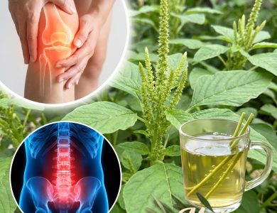 Bledo blanco: la “maleza” silvestre que puede cuidar tu cerebro, tu energía y tu digestión Bledo blanco: la “maleza” silvestre que puede cuidar tu cerebro, tu energía y tu digestión