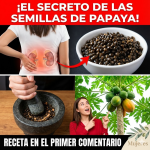 Semillas de papaya: el tesoro escondido que estás tirando a la basura