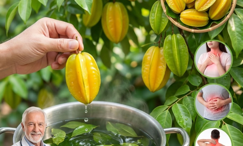 ¡No Solo la Fruta! Datos Sobre las Hojas de Carambola que Desearías Haber Conocido Antes