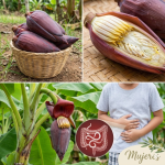 Corazón de plátano: la flor de tu jardín que vale más que el dinero Corazón de plátano: la flor de tu jardín que vale más que el dinero